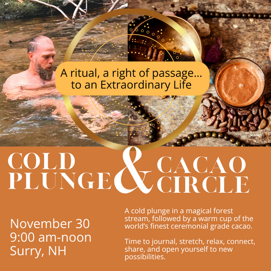 Cold Plunge & Cacao Circle November 30